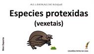 Especies protexidas (vexetais)